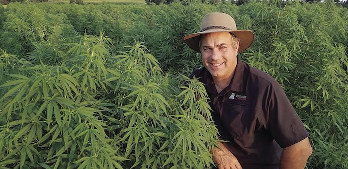 groff-hemp-will-be-viable-cash-crop-in-next-decade