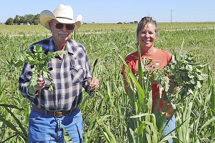 ira-colorado-2people-blog.jpg