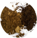 barren-subsoil-devoid-of-organic-matter.png