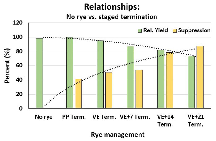 When Is the Best Time to Terminate Cereal Rye to Suppress Weeds ...